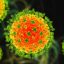 The Langya virus has been detected in 35 people in China