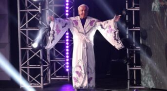 Ric Flair’s Last Match: Wrestling Fans React to Star’s Bloody Farewell