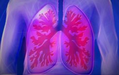 World Lung Day 2023: Tips for Healthy Lungs