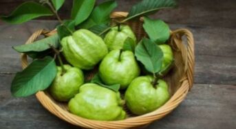 7 incredible health advantages of this incredible fruit