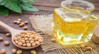 From Soybean To Mustard: How Do Choose the Correct Vegetable Oil?