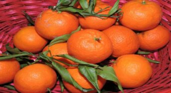 Seven Possible Health Advantages of Oranges