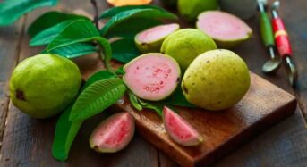 Pink guava: 6 health advantages of this fruit that is good for diabetics