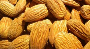 Science confirms the superpowers of almonds. Here’s how to eat them