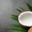 The Top 6 Nutritional and Health Benefits of Coconuts