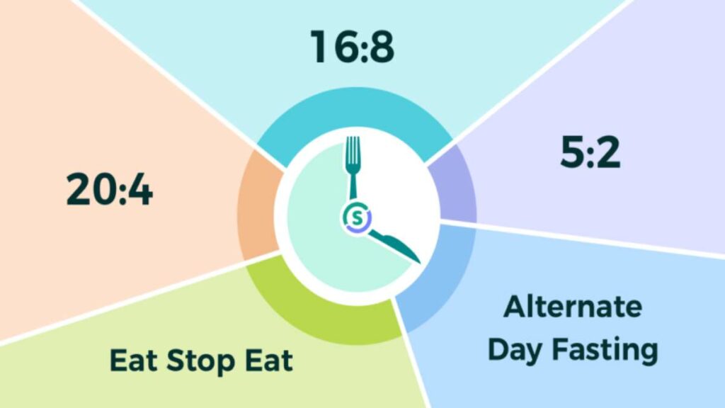 Which Is The Best Schedule for Intermittent Fasting How to Choose the Best Match for Yourself