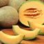 Health Benefits of Muskmelon: Five Reasons to Eat This Summer Fruit Every Day
