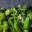 Top 5 Green Leafy Vegetables for Diabetes Patients: From Garden to Health