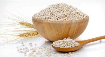 6 Motives To Add Barley Or Jau To Your Summertime Diet