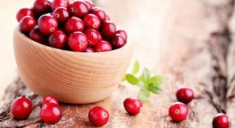 5 Amazing Health Benefits of Cranberries and Why They Are Known as a Superfruit