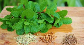 5 Cooling Ayurvedic Herbs That Should Include In Your Summertime Diet