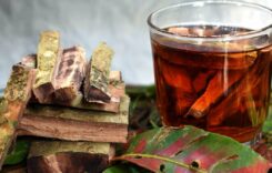 Arjuna Bark Tea: 15 Days of Lower Cholesterol