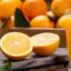 Foods with Higher Vitamin C Content Than Oranges