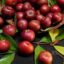 Kokum’s 5 Health Benefits And The Reasons It Could Go Extinct By 2025