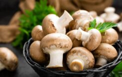 Benefits of Mushrooms For Health: A Superfood That Lowers Depression, Improves Mood, And Regulates Blood Sugar
