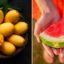 5 Hydrating Fruits To Stay Healthy And Beat The Heatwave