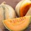 5 Surprising Benefits of Eating Muskmelon Seeds