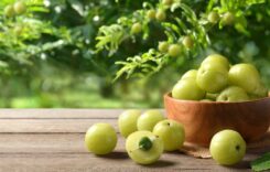 5 Reasons Why You Should Eat Amla or Indian Gooseberry Every Day During the Summer