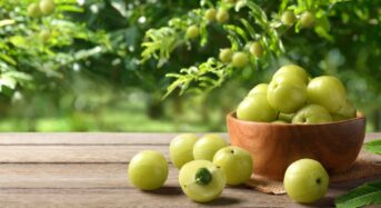 5 Reasons Why You Should Eat Amla or Indian Gooseberry Every Day During the Summer