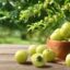 5 Reasons Why You Should Eat Amla or Indian Gooseberry Every Day During the Summer