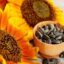 Sunflower Seeds Have 8 Health Benefits